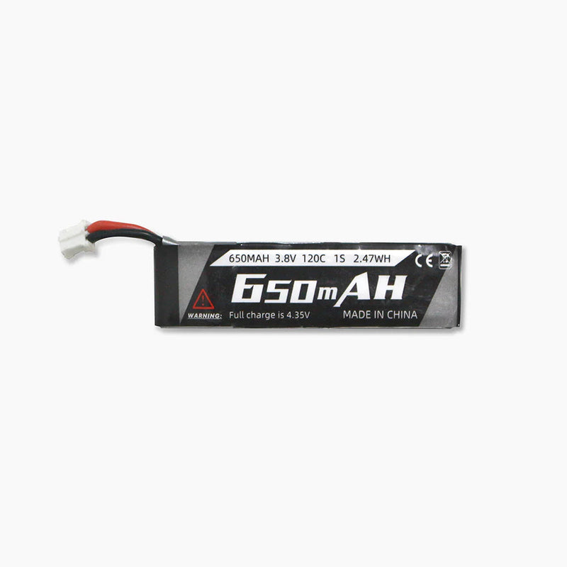 650mAH_2.jpg